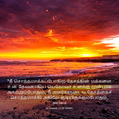 Picture 03 - உபாகமம் 12:29 TAMIRV - “நீ - Bible Verse Picture