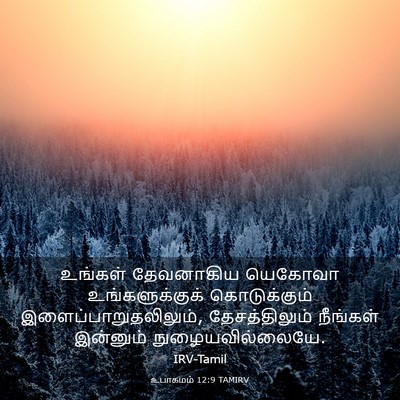 Picture 03 - உபாகமம் 12:9 TAMIRV - உங்கள் தேவனாகிய - Bible Verse Picture