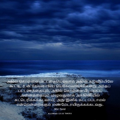 Picture 03 - உபாகமம் 13:16 TAMIRV - அதில் - Bible Verse Picture