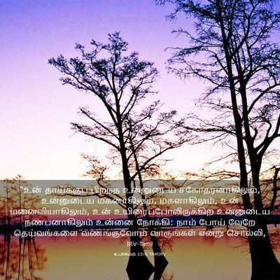 Picture 03 - உபாகமம் 13:6 TAMIRV - “உன் தாய்க்குப் - Bible Verse Picture