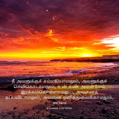 Picture 03 - உபாகமம் 13:8 TAMIRV - நீ அவனுக்குச் - Bible Verse Picture