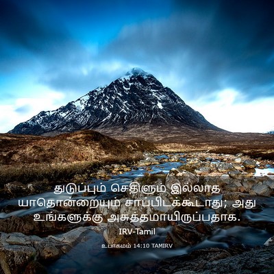 Picture 03 - உபாகமம் 14:10 TAMIRV - துடுப்பும் - Bible Verse Picture