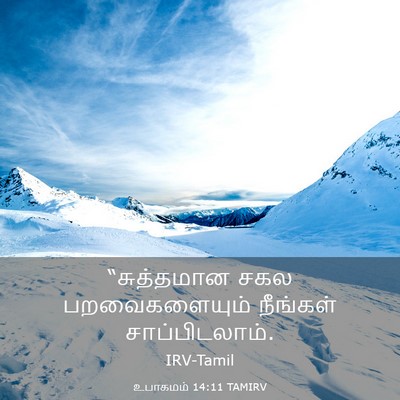 Picture 03 - உபாகமம் 14:11 TAMIRV - “சுத்தமான சகல - Bible Verse Picture