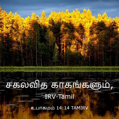 Picture 03 - உபாகமம் 14:14 TAMIRV - சகலவித - Bible Verse Picture