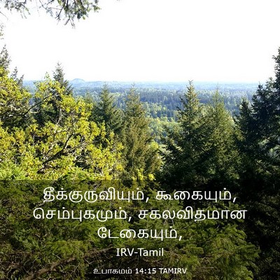 Picture 03 - உபாகமம் 14:15 TAMIRV - தீக்குருவியும், - Bible Verse Picture