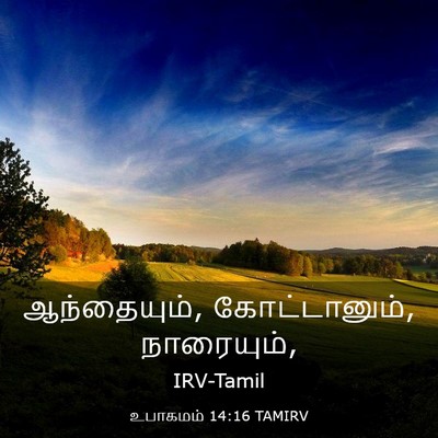 Picture 03 - உபாகமம் 14:16 TAMIRV - ஆந்தையும், - Bible Verse Picture