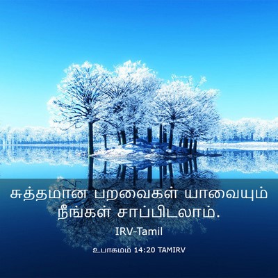 Picture 03 - உபாகமம் 14:20 TAMIRV - சுத்தமான பறவைகள் - Bible Verse Picture