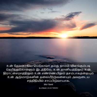Picture 03 - உபாகமம் 14:23 TAMIRV - உன் தேவனாகிய - Bible Verse Picture