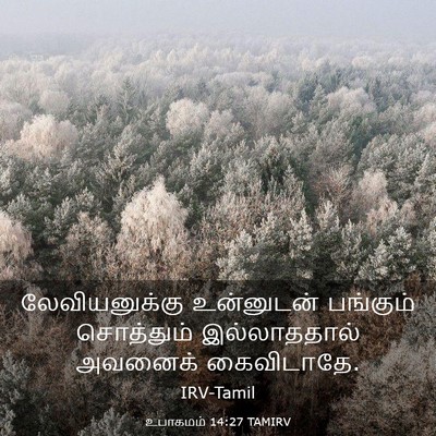 Picture 03 - உபாகமம் 14:27 TAMIRV - லேவியனுக்கு - Bible Verse Picture