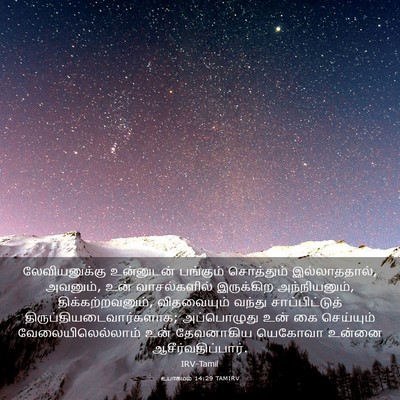 Picture 03 - உபாகமம் 14:29 TAMIRV - லேவியனுக்கு - Bible Verse Picture
