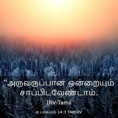 Picture 03 - உபாகமம் 14:3 TAMIRV - “அருவருப்பான - Bible Verse Picture