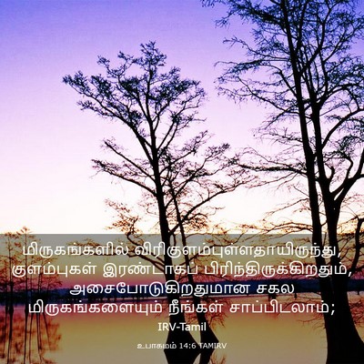 Picture 03 - உபாகமம் 14:6 TAMIRV - மிருகங்களில் - Bible Verse Picture