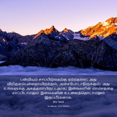 Picture 03 - உபாகமம் 14:8 TAMIRV - பன்றியும் - Bible Verse Picture