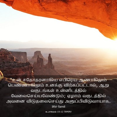 Picture 03 - உபாகமம் 15:12 TAMIRV - “உன் சதோதரனாகிய - Bible Verse Picture