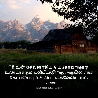 Picture 03 - உபாகமம் 16:21 TAMIRV - “நீ உன் தேவனாகிய - Bible Verse Picture