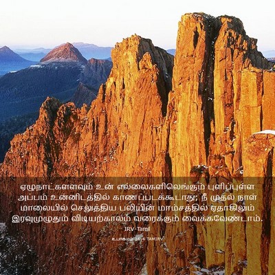 Picture 03 - உபாகமம் 16:4 TAMIRV - ஏழுநாட்களளவும் - Bible Verse Picture