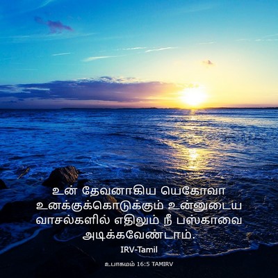 Picture 03 - உபாகமம் 16:5 TAMIRV - உன் தேவனாகிய - Bible Verse Picture