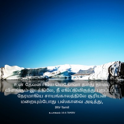 Picture 03 - உபாகமம் 16:6 TAMIRV - உன் தேவனாகிய - Bible Verse Picture
