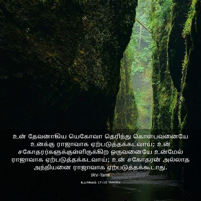 Picture 03 - உபாகமம் 17:15 TAMIRV - உன் தேவனாகிய - Bible Verse Picture
