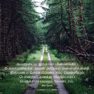 Picture 03 - உபாகமம் 17:17 TAMIRV - அவனுடைய இருதயம் - Bible Verse Picture