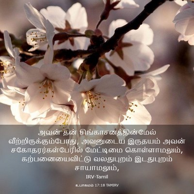 Picture 03 - உபாகமம் 17:18 TAMIRV - அவன் தன் - Bible Verse Picture