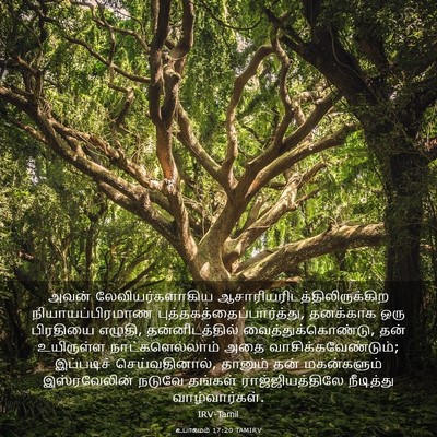 Picture 03 - உபாகமம் 17:20 TAMIRV - அவன் - Bible Verse Picture