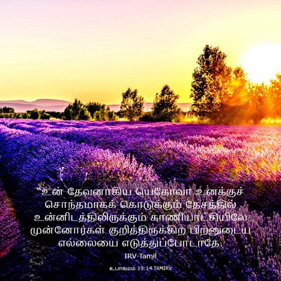 Picture 03 - உபாகமம் 19:14 TAMIRV - “உன் தேவனாகிய - Bible Verse Picture