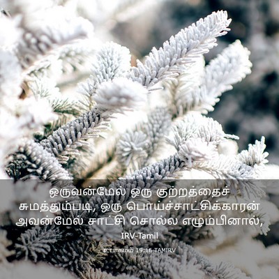 Picture 03 - உபாகமம் 19:16 TAMIRV - ஒருவன்மேல் ஒரு - Bible Verse Picture