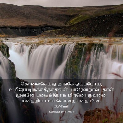 Picture 03 - உபாகமம் 19:4 TAMIRV - கொலைசெய்து அங்கே - Bible Verse Picture