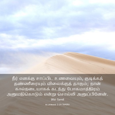 Picture 03 - உபாகமம் 2:29 TAMIRV - நீர் எனக்கு - Bible Verse Picture