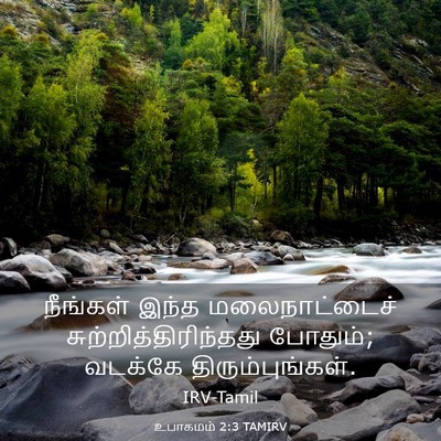 Picture 03 - உபாகமம் 2:3 TAMIRV - நீங்கள் இந்த - Bible Verse Picture