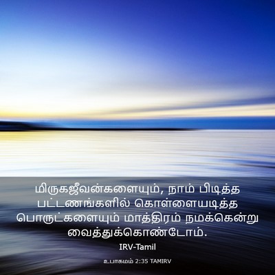 Picture 03 - உபாகமம் 2:35 TAMIRV -  - Bible Verse Picture