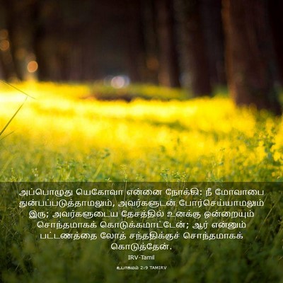 Picture 03 - உபாகமம் 2:9 TAMIRV - அப்பொழுது யெகோவா - Bible Verse Picture