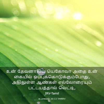 Picture 03 - உபாகமம் 20:13 TAMIRV - உன் தேவனாகிய - Bible Verse Picture