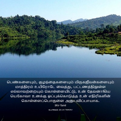 Picture 03 - உபாகமம் 20:14 TAMIRV - பெண்களையும், - Bible Verse Picture