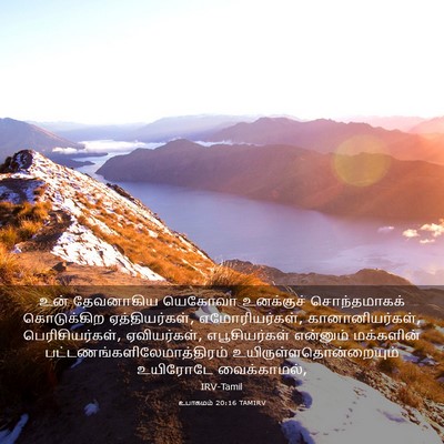 Picture 03 - உபாகமம் 20:16 TAMIRV - உன் தேவனாகிய - Bible Verse Picture