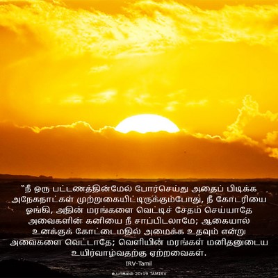 Picture 03 - உபாகமம் 20:19 TAMIRV - “நீ ஒரு - Bible Verse Picture
