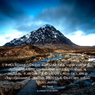 Picture 03 - உபாகமம் 20:20 TAMIRV -  - Bible Verse Picture