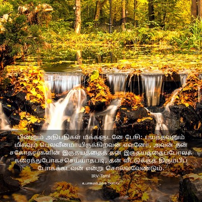Picture 03 - உபாகமம் 20:8 TAMIRV - பின்னும் - Bible Verse Picture