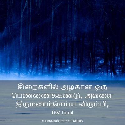 Picture 03 - உபாகமம் 21:11 TAMIRV - சிறைகளில் அழகான - Bible Verse Picture