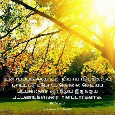 Picture 03 - உபாகமம் 21:2 TAMIRV - உன் மூப்பர்களும் - Bible Verse Picture