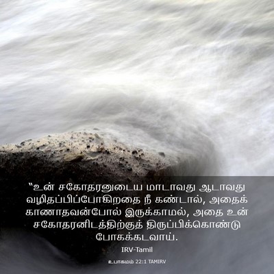 Picture 03 - உபாகமம் 22:1 TAMIRV - “உன் சகோதரனுடைய - Bible Verse Picture