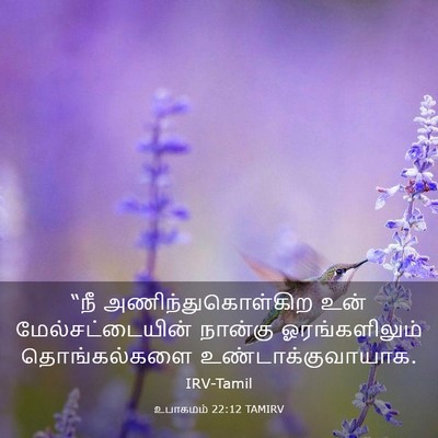 Picture 03 - உபாகமம் 22:12 TAMIRV - “நீ - Bible Verse Picture