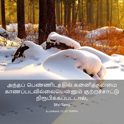 Picture 03 - உபாகமம் 22:20 TAMIRV - அந்தப் - Bible Verse Picture