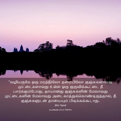 Picture 03 - உபாகமம் 22:6 TAMIRV - “வழியருகே ஒரு - Bible Verse Picture
