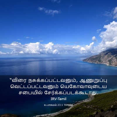 Picture 03 - உபாகமம் 23:1 TAMIRV - “விரை - Bible Verse Picture