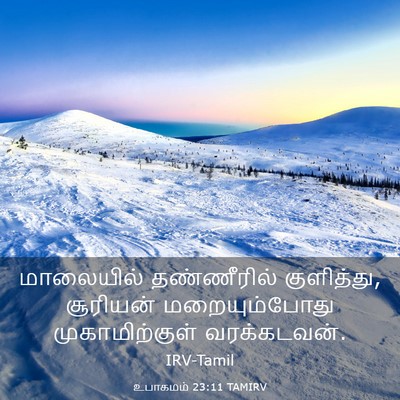 Picture 03 - உபாகமம் 23:11 TAMIRV - மாலையில் - Bible Verse Picture