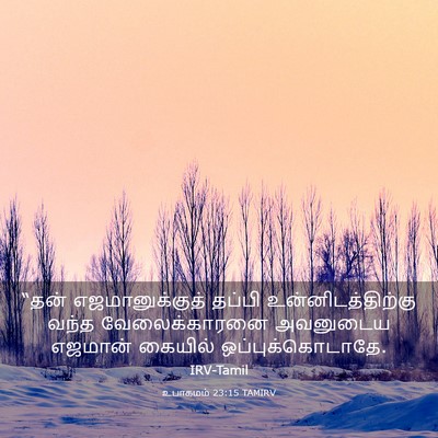 Picture 03 - உபாகமம் 23:15 TAMIRV - “தன் எஜமானுக்குத் - Bible Verse Picture