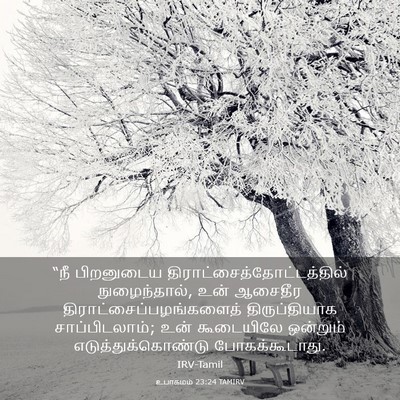 Picture 03 - உபாகமம் 23:24 TAMIRV - “நீ பிறனுடைய - Bible Verse Picture