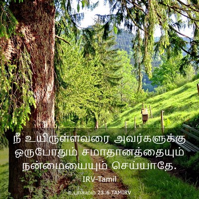 Picture 03 - உபாகமம் 23:6 TAMIRV - நீ உயிருள்ளவரை - Bible Verse Picture